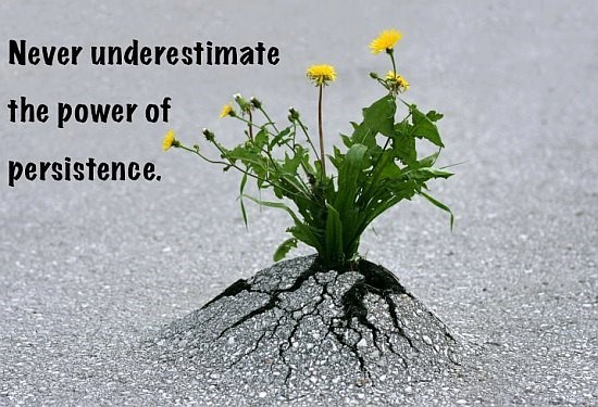 Picture of asphalt with a dandelion growing up through the asphalt with the quote, "Never underestimate the power of persistence."